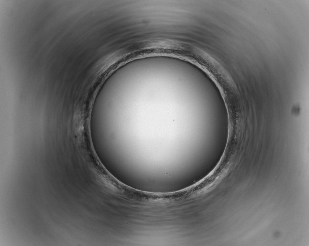 X0000102541017200808151638
