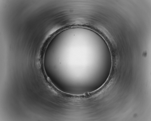 X0000102541018200808151638