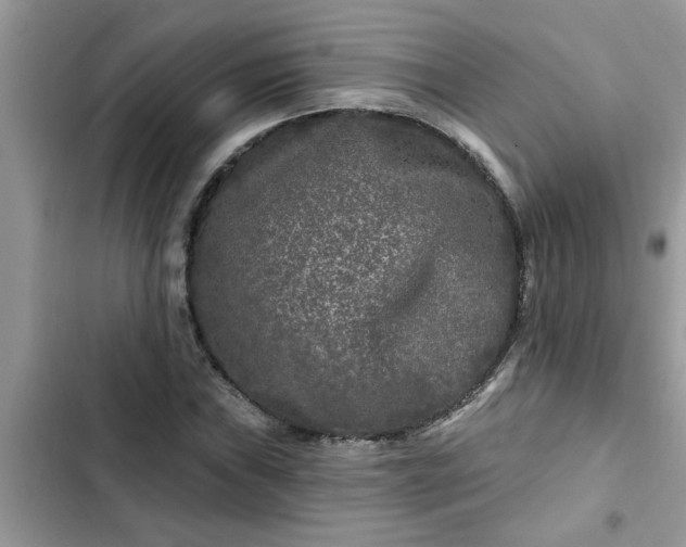 X0000102541019200808151638