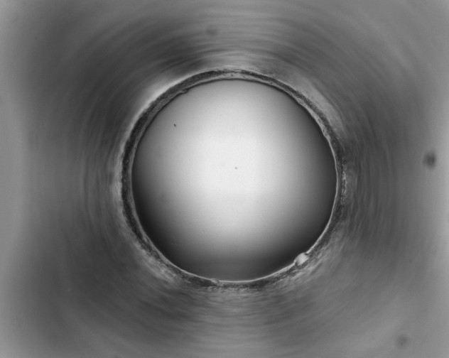 X0000102541020200808151638