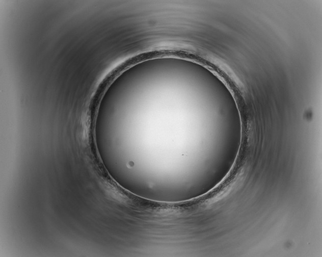 X0000102541021200808151638