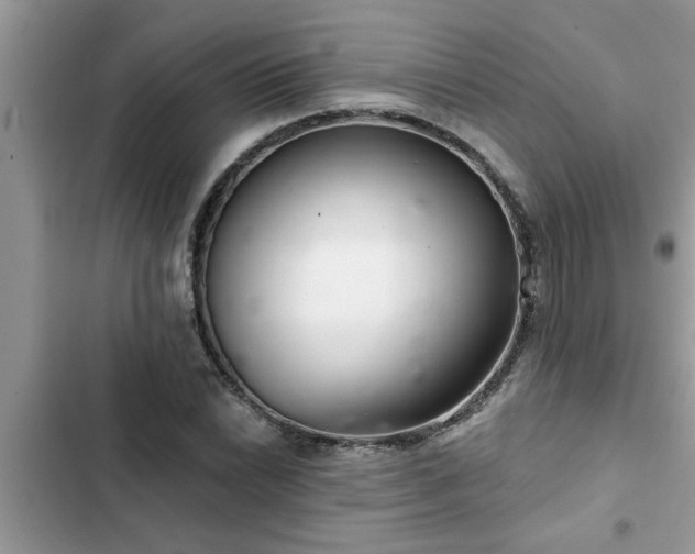 X0000102541022200808151638