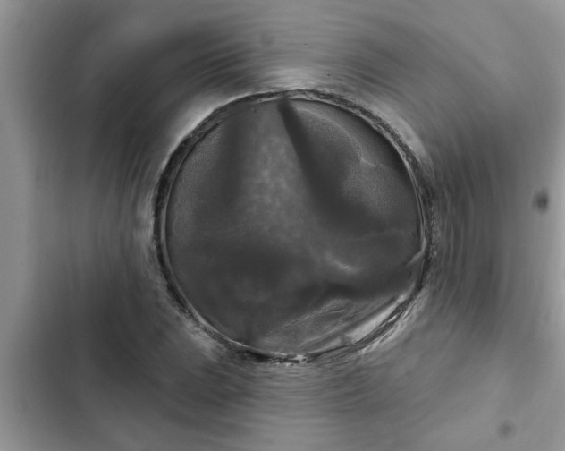 X0000102541023200808151638