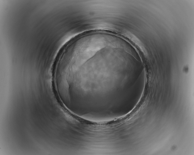 X0000102541024200808151638
