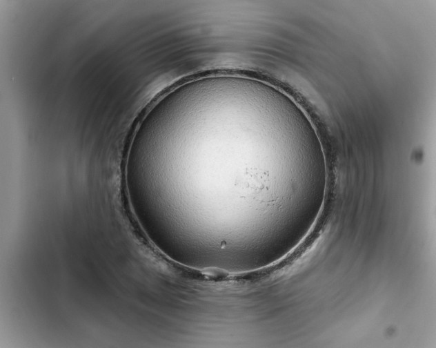 X0000102541025200808151638