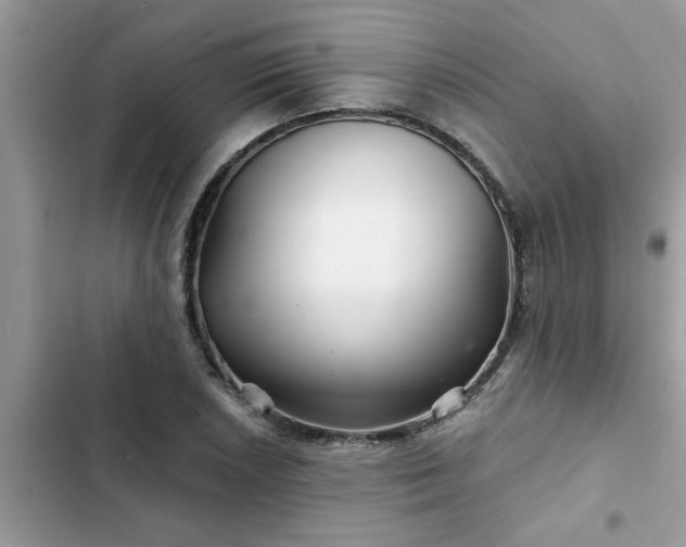 X0000102541026200808151638