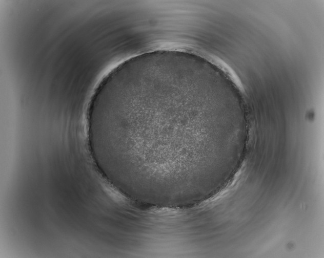 X0000102541027200808151638