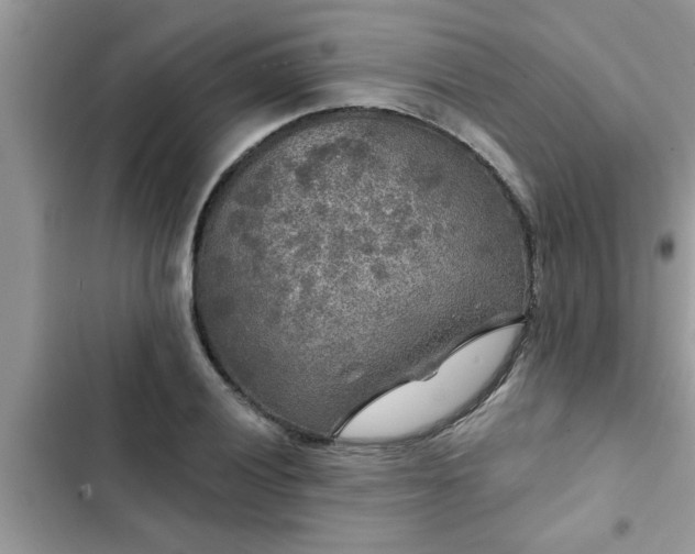 X0000102541028200808151638