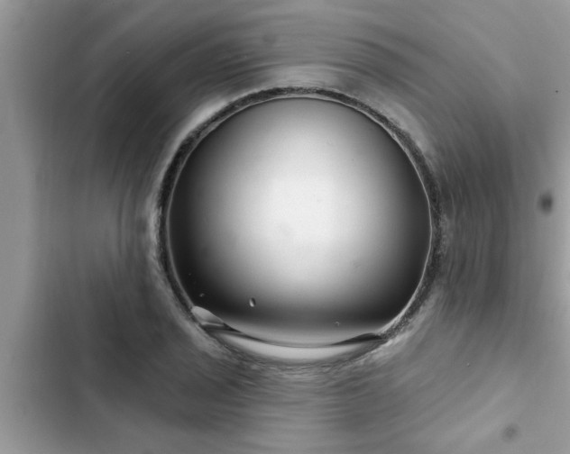 X0000102541029200808151638