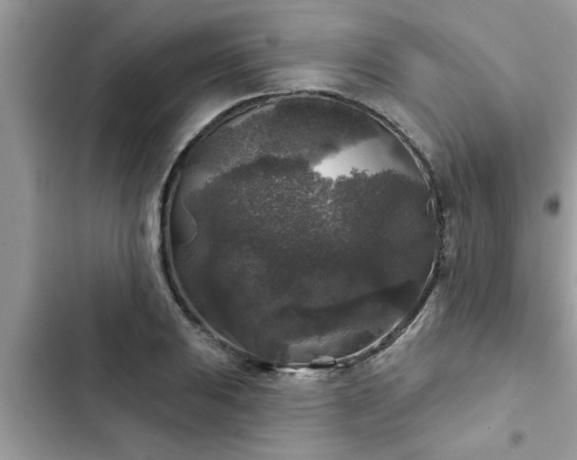 X0000102541031200808151638