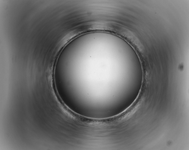 X0000102541033200808151638