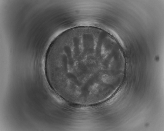 X0000102541035200808151638