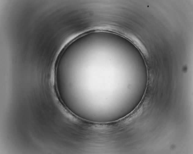 X0000102541036200808151638