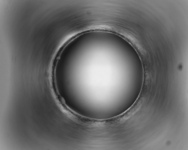 X0000102541038200808151638