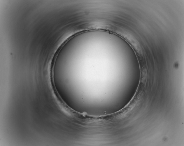 X0000102541039200808151638