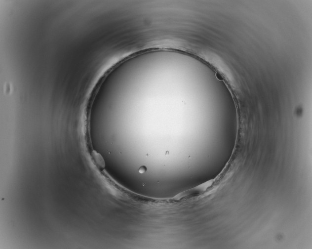 X0000102541040200808151638