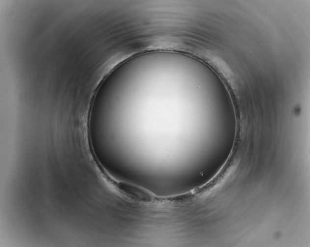 X0000102541041200808151638