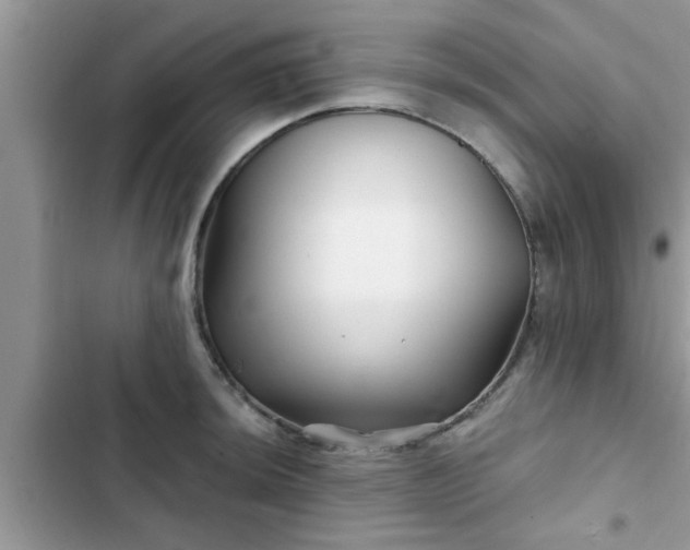 X0000102541044200808151638