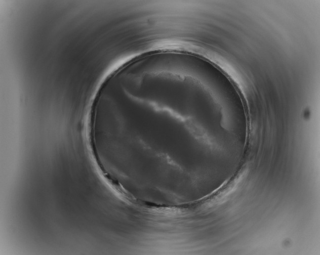 X0000102541045200808151638