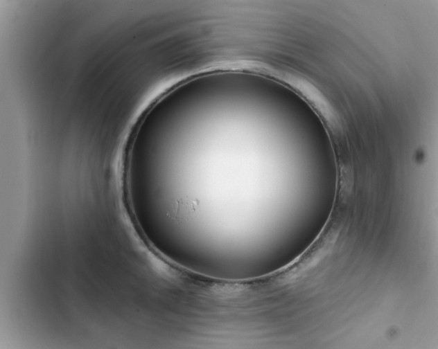 X0000102541046200808151638