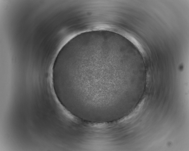 X0000102541047200808151638
