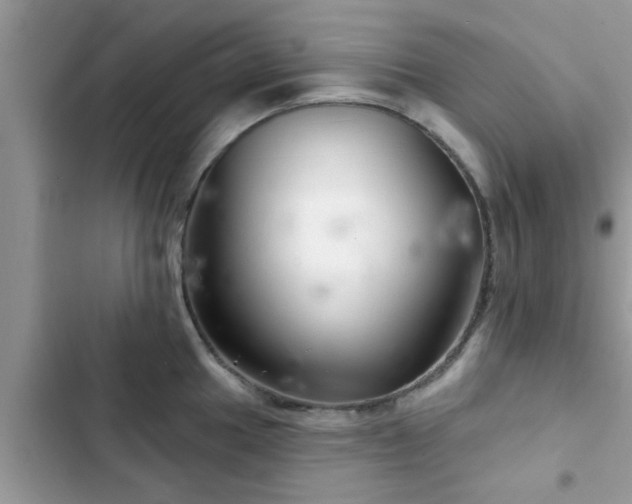 X0000102541049200808151638