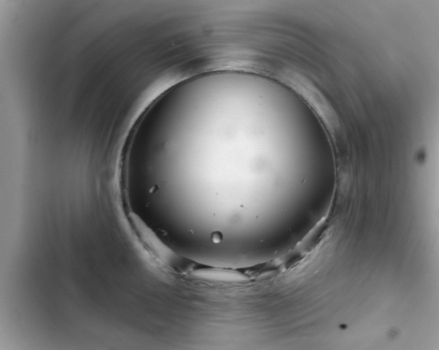 X0000102541050200808151638