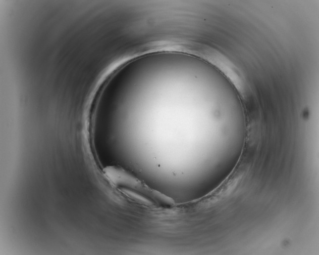 X0000102541051200808151638