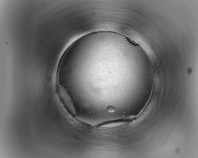 X0000102541052200808151638