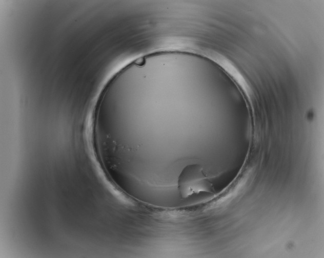 X0000102541053200808151638