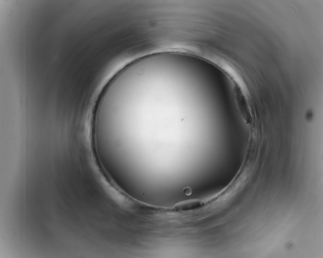 X0000102541054200808151638