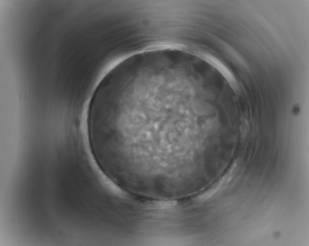 X0000102541055200808151638
