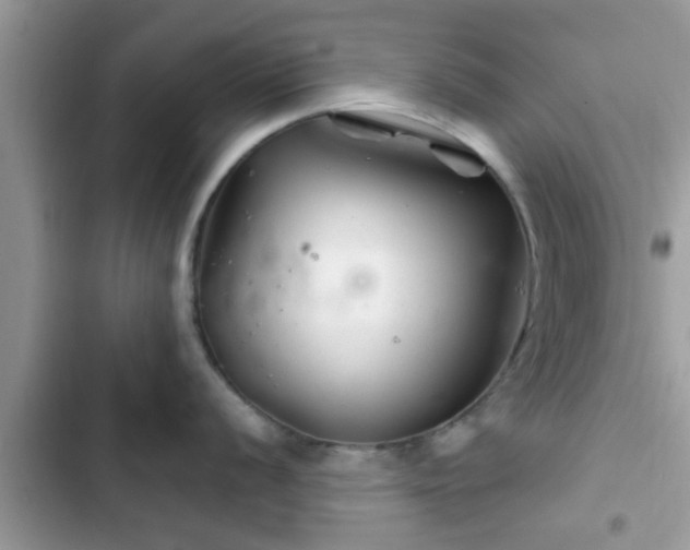 X0000102541056200808151638
