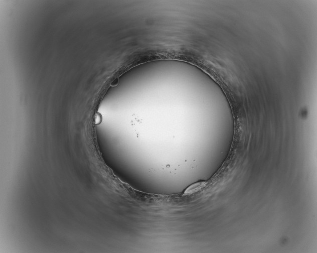 X0000102541057200808151637