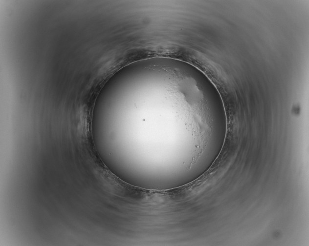 X0000102541058200808151637