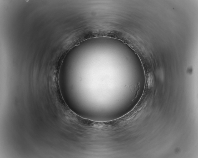 X0000102541059200808151637