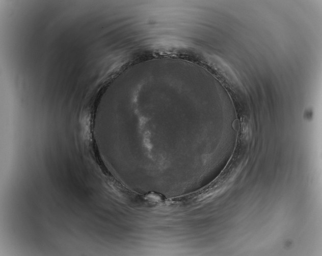X0000102541060200808151637