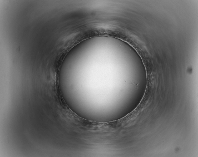 X0000102541061200808151637