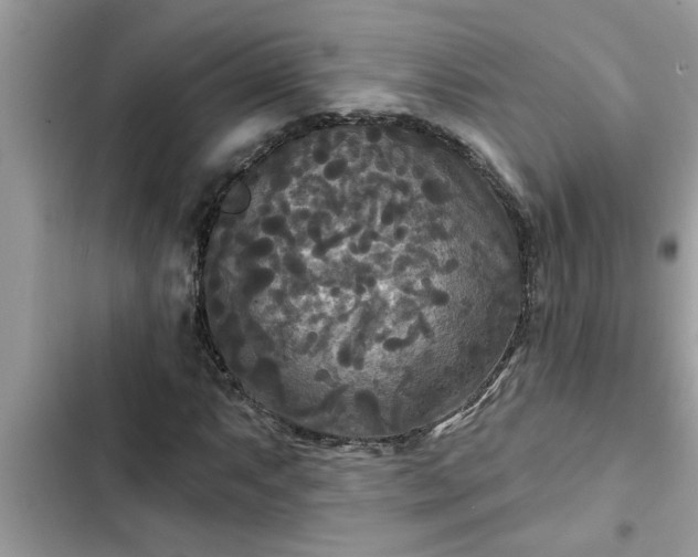 X0000102541063200808151637