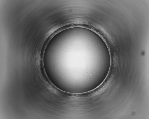X0000102541065200808151637
