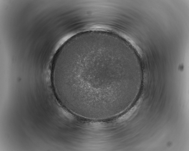X0000102541066200808151637