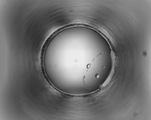 X0000102541068200808151637