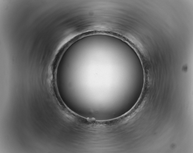 X0000102541070200808151637