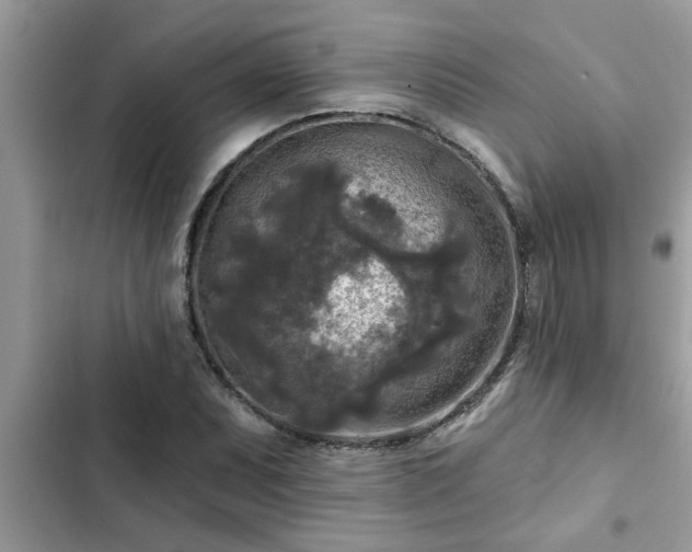 X0000102541071200808151637