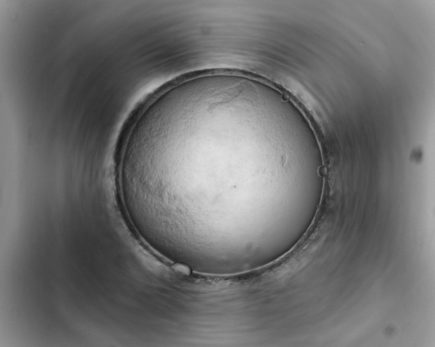X0000102541072200808151637
