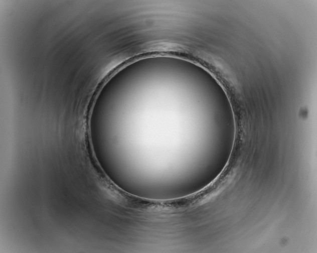 X0000102541073200808151637