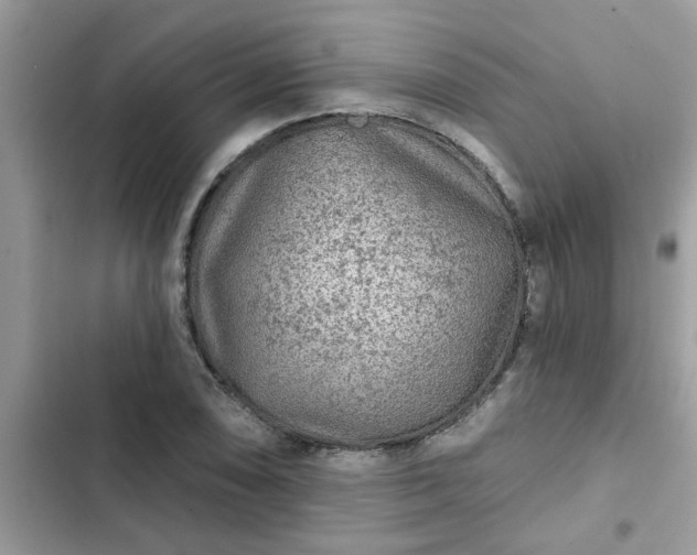 X0000102541074200808151637
