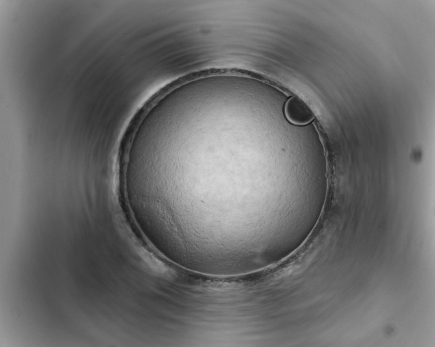 X0000102541076200808151637