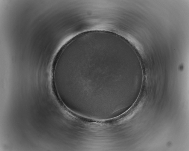X0000102541077200808151637