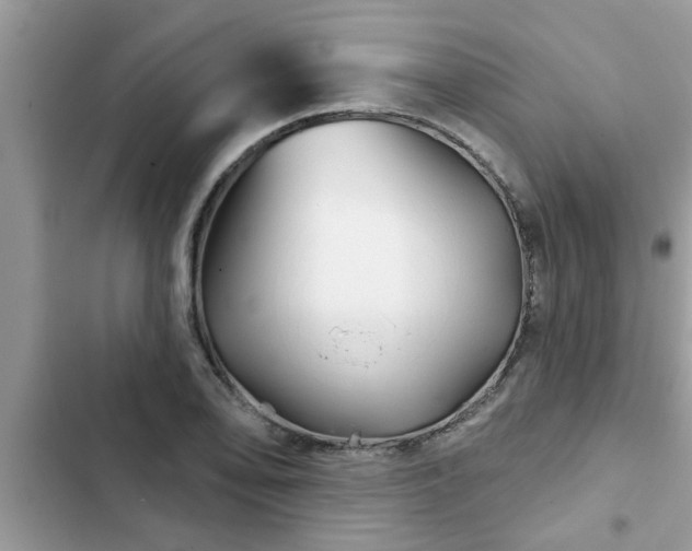 X0000102541078200808151637